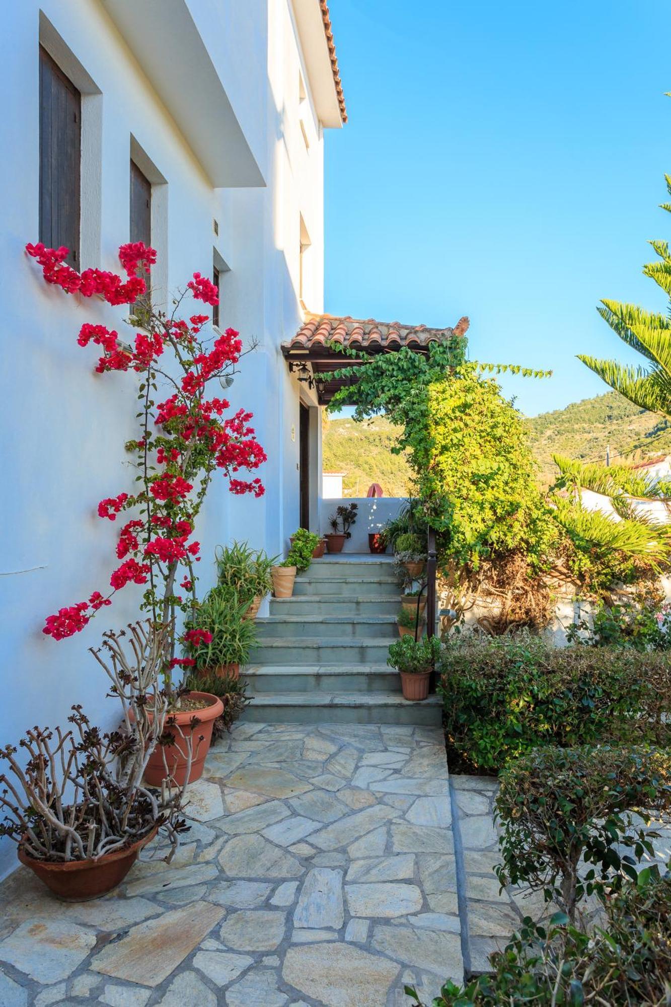 סקופלוס טאון Nikolaos Studios Apartments מראה חיצוני תמונה