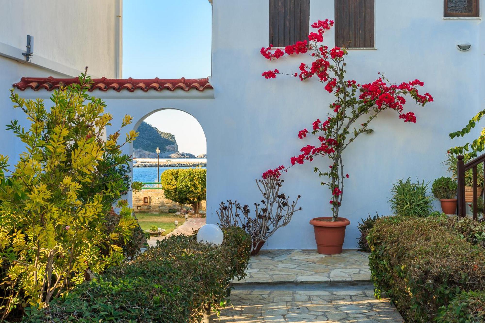 סקופלוס טאון Nikolaos Studios Apartments מראה חיצוני תמונה