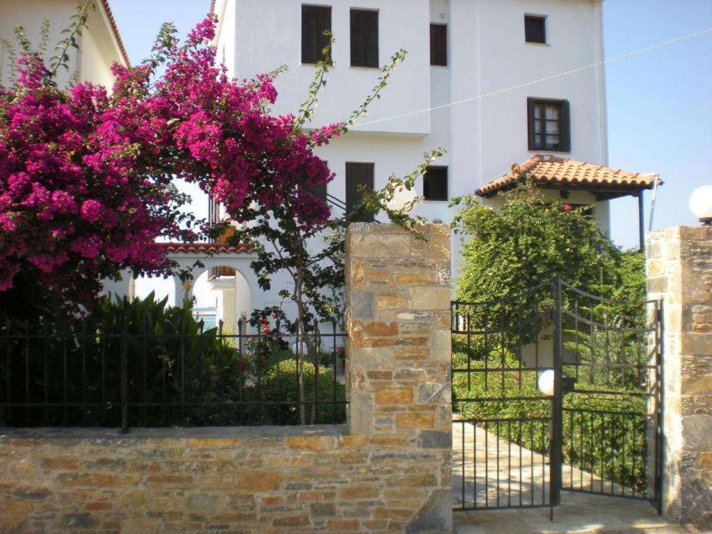 סקופלוס טאון Nikolaos Studios Apartments מראה חיצוני תמונה