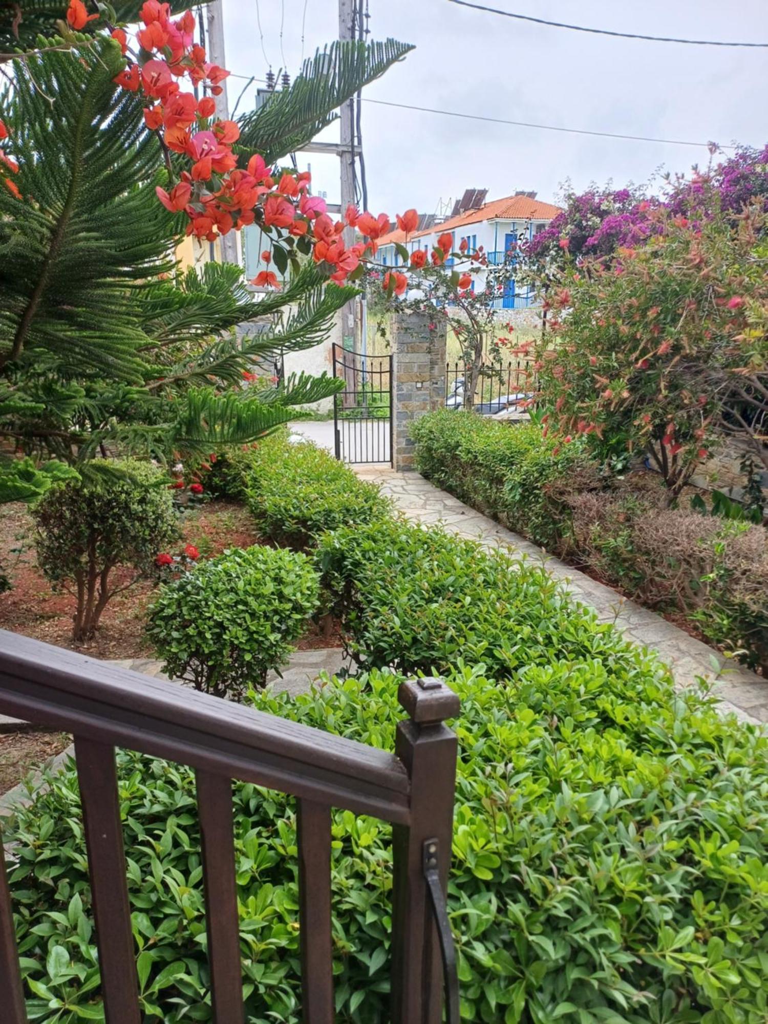 סקופלוס טאון Nikolaos Studios Apartments מראה חיצוני תמונה